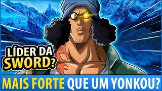 AOKIJI VAI DESTRUIR OS YONKOU E O GOVERNO MUNDIAL!! ENTENDA PORQUE ELE SE JUNTOU AO BARBA NEGRA!!