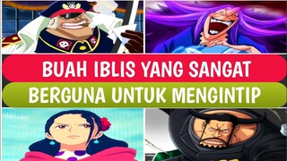 4 BUAH IBLIS YANG SANGAT BERGUNA UNTUK MENGINTIP MUSUH!