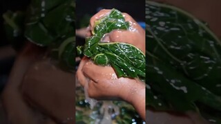 ternyata begini proses pemasakan sayur daun pepaya