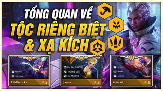 TỔNG QUAN & ĐÁNH GIÁ TỘC/HỆ MỚI ĐTCL MÙA 8: TỘC RIÊNG BIỆT & XẠ KÍCH | NHỮNG HỆ ĐỘC NHẤT SIÊU BÁ ĐẠO