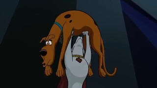 Watch the movie Scooby Doo! and Krypto, Too,for free:link in description