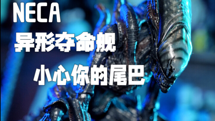 NECA异形夺命舰 终于有新异形了，但是要小心你的尾巴