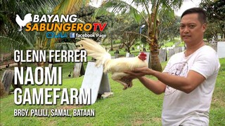 Naomi Gamefarm - Glenn Ferrer