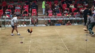 3HITS @SMC 2ND FIGHT (WWD)