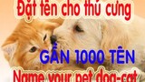 Đặt tên cho thú cưng chó mèo gần 1000 tên ( Anh, Nhật, Việt) - Name the pet dog - cat