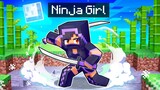 Playing As a NINJA Girl In Minecraft!