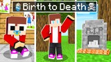 Maizen BIRTH to DEATH - Sad Story in Minecraft (JJ and Mikey)