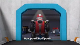 Opening Song Theme PAW patrol Bahasa Indonesia Terbaru | Lirik