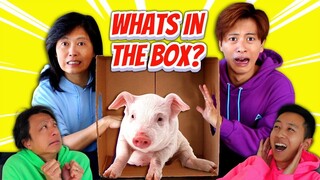 WHAT'S IN THE BOX CHALLENGE 📦 | Alan Chikin Chow Family