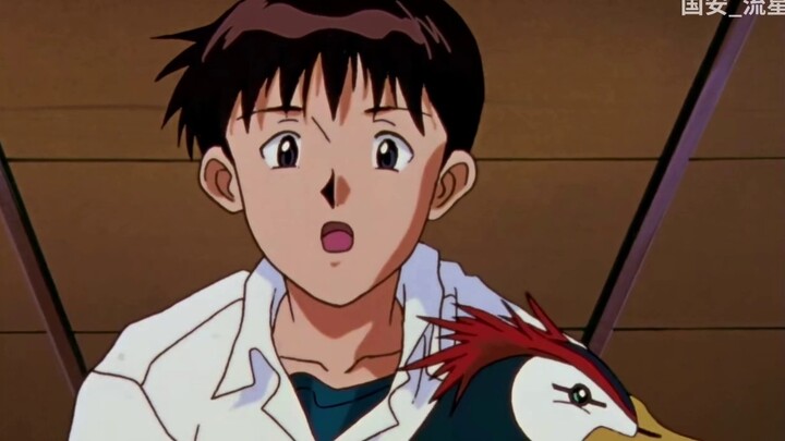 【EVA】กิจวัตรพันชั้นของเพนเพน - นักรบผู้น่ารักในศตวรรษใหม่