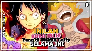 Benarkah Nama Buah Iblis yang di makan Luffy bukanlah Gomu Gomu No Mi? Berikut Penjelasannya.