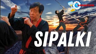 SIPALKI DO No es Coreano - GM Soo Nam Yoo - Un Arte Marcial en 5 minutos