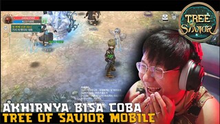 BARU !! TREE OF SAVIOR MOBILE MIRIP BANGET SAMA VERSI PCNYA ! KEREN ! - Mobile