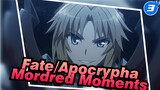 Fate/Apocrypha Cut | Mordred Moments Cut_3