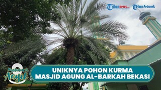 NGABUBURIT ASYIK  Masjid Agung Al Barkah, Masjid di Bekasi Selatan yang Dikelilingi Pohon Kurma