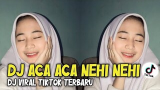 DJ ACA ACA NEHI NEHI || dj viral tiktok terbaru || Zio DJ Remix