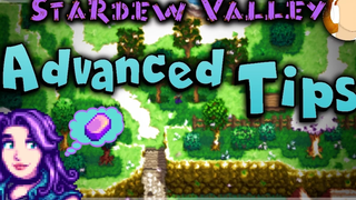 Stardew Valley - เคล็ดลับขั้นสูง วิธีทำเงินและคู่มืออิริเดียม