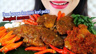 ASMR KARI IKAN PEDAS, JENGKOL MERCON | EATING SOUNDS