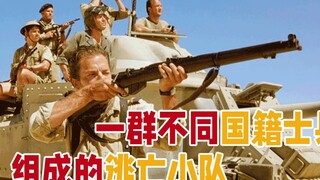 美国队长做梦也想不到，竟然会在撒哈拉沙漠打仗！