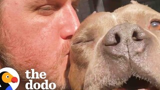 Foster Pittie มีกิจวัตรตอนเช้าที่เฉพาะเจาะจงมาก The Dodo Foster Diaries