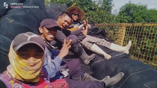 SARAN BOYS