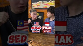 Bahasa Indonesia🇮🇩 VS Bahasa Malaysia🇲🇾