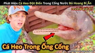 Phát Hiện Cá Heo Đột Biến Trong Cống Nước Bỏ Hoang Đầy Bí Ẩn || Review Giải Trí Đời Sống