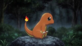 Siapa yang membuang Charmander yang lucu itu?