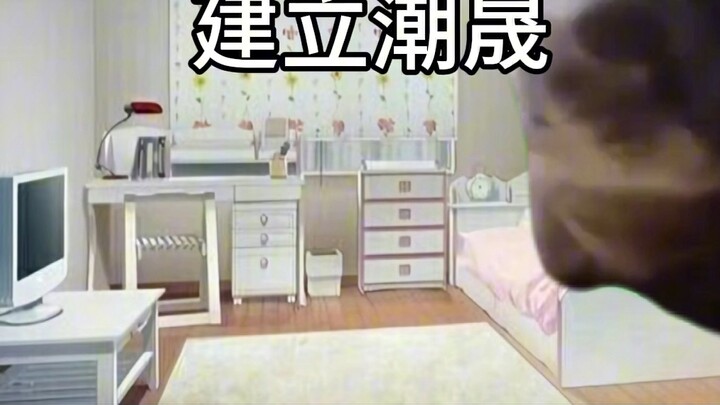 【Cat meme】Ma Haoning's growth history