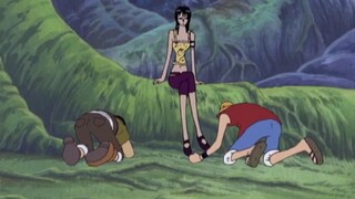 Wang Lufei kneels down to Robin! The Straw Hats’ hilarious scene!