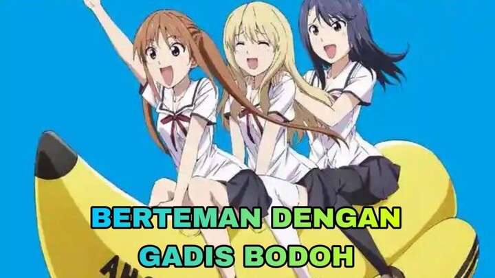 Kekocakan Gadis Bodoh Part 2 [[KeG0blogan Gadis Dungnyu]]