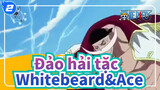 [Đảo hải tặc ] Các cảnh hào hứng khi Whitebeard cứu Ace_2