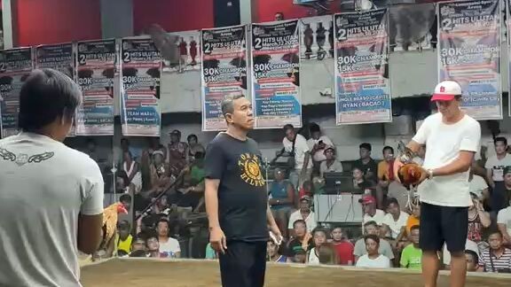 2HITS CHAMPION