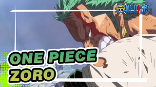 [One Piece] Zoro's Sword Style- One Knife Skill