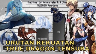 SIAPA NAGA TERKUAT DI TENSURA? URUTAN KEKUATAN TRUE DRAGON TENSURA