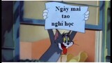 #trungkenchannel #clipgiaitri Nghỉ Dịch Bạn Sẽ Làm Gì , Tom and Jerry Chế Funy Tom and Jerry meme