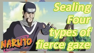 Sealing Four types of fierce gaze