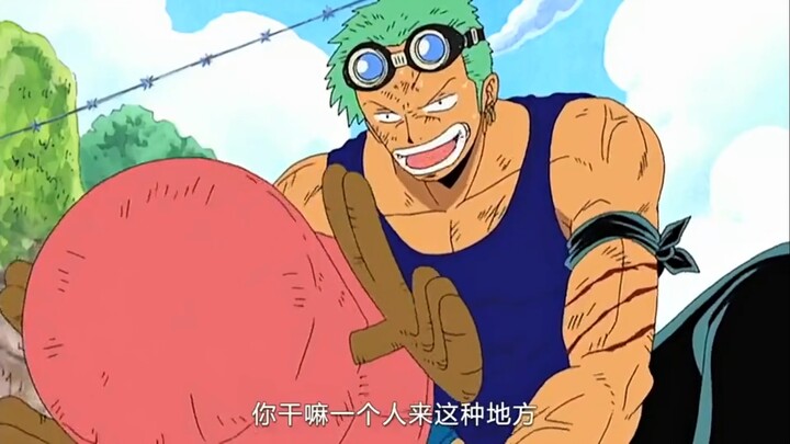 索隆只让乔巴骑，而乔巴只被路飞骑过