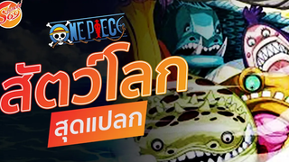 ONE PIECE สัตว์โลกสุดแปลก