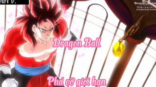 Dragon Ball _Tập 29- Phá vỡ giới hạn