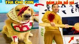 Thú Cưng Vlog | Tứ Mao Ham Ăn Đại Náo Bố #41 | Chó gâu đần thông minh vui nhộn | Funny smart pet dog