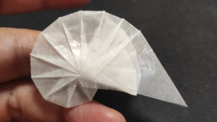[Origami] Keong tertua di dunia, nautilus, adalah fosil hidup yang telah menempuh perjalanan selama 