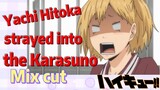 [Haikyuu!!]  Mix cut | Yachi Hitoka strayed into the Karasuno