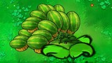 (Mind hunting, be careful) New plant: Fukushima watermelon pitcher