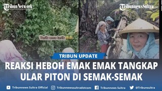 Bukannya Takut, Viral Aksi Emak emak di Manado Heboh Tangkap Ular Piton di Semak semak