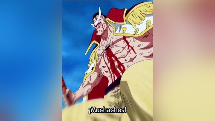 El momento donde Luffy fue intocable! 🔥 onepiece shirohige luffy onepieceanime mihawk crocodile anime marineford animefyp