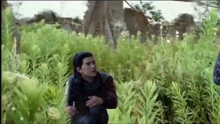 Apakah kamu ke sini untuk mencuri rumput iblis?