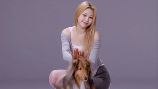 2024🐶