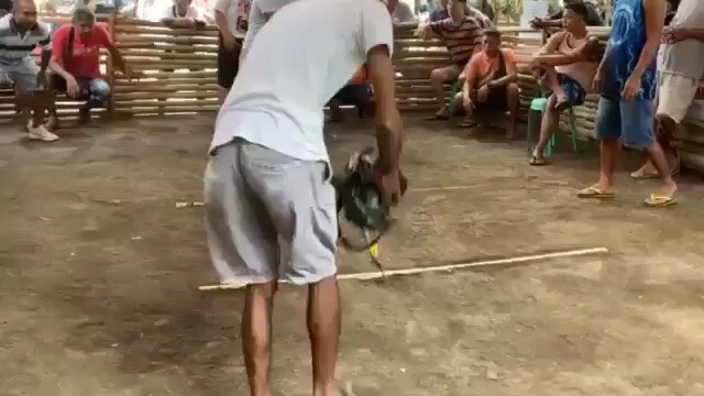 win again