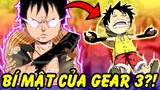 Gear 3 Bọc Haki?! | Những Sự Thật Về Gear 3 Của Luffy